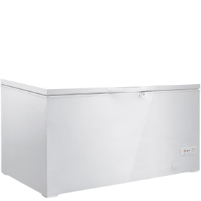 Congélateur DSL 500 L